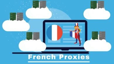 Proxy for France: Safe and Private Access to French Digital Content