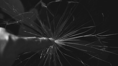 digital jar interface insights